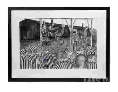 M2019_033_028 i.jpg; M2019/033:028; ;